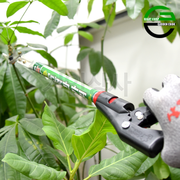 가든쿡 스텐 40% 초경량 고적과가위 0.55 햇순 소나무 고지가위 순치기 가지치기 적과