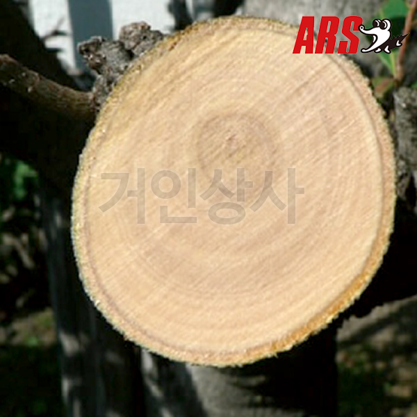 아루스 과수 전지톱 톱날 SG-21-1(SG21용) /전정톱 집톱 조경 정원 원예 ARS