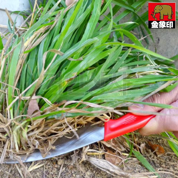 FG 핸드 톱니 잡초칼 YU-9790 / 틈새 잡초제거기 정원 잔디 뿌리 낫 벌초 텃밭