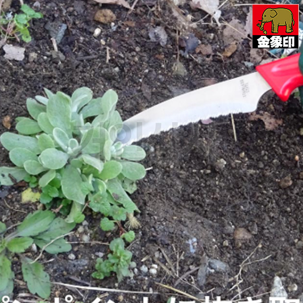 FG 핸드 톱니 잡초칼 YU-9790 / 틈새 잡초제거기 정원 잔디 뿌리 낫 벌초 텃밭