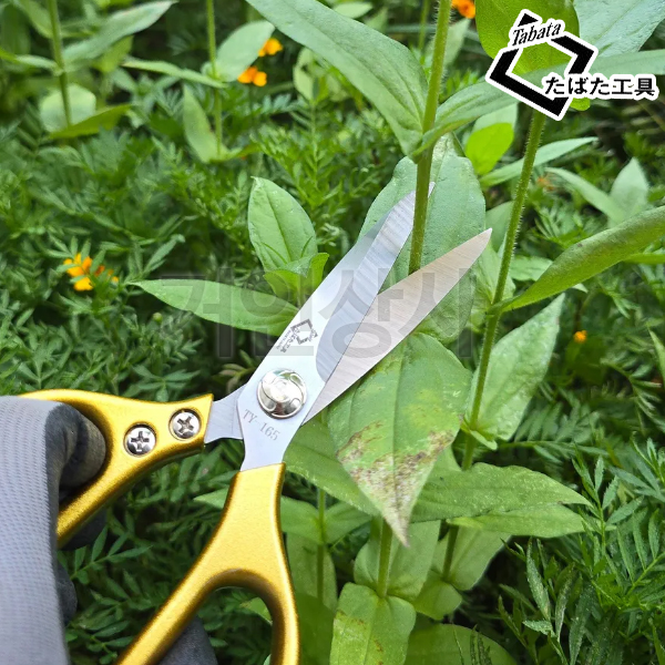 일제 타바타 다목적 원예가위 TY-165 전정가위 수확 원예 정원 과수 화훼 가드닝 가위